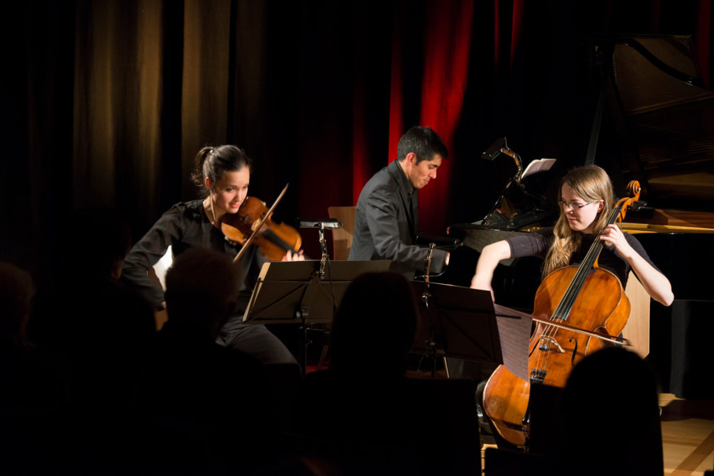 Trio Novarte